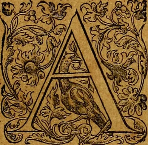 An illustration from Prontvario de le medaglie de piv illvstri, & fulgenti huomini & donne, dal pricipio del mondo insino al presente tempo.., 1553, leaf 6