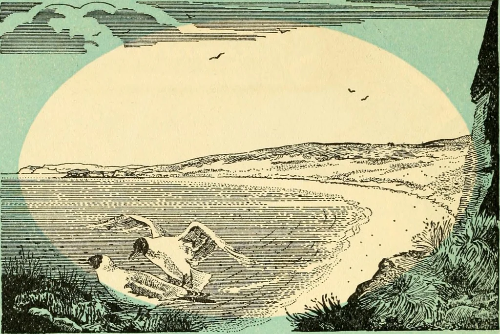 An illustration from The properties of the National Trust for places of historic interest or natural beauty in Northern Ireland / National Trust in Northern Ireland ; introduction by the Earl of Antrim, 1900, leaf 19