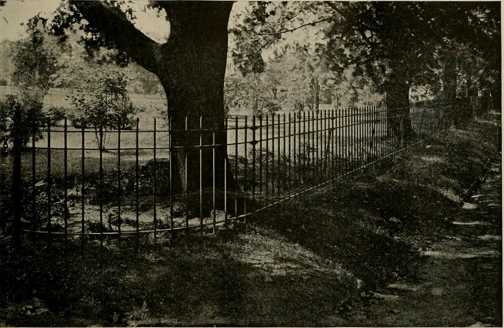 An illustration from Property protection and ornamentation :, 1920, leaf 32