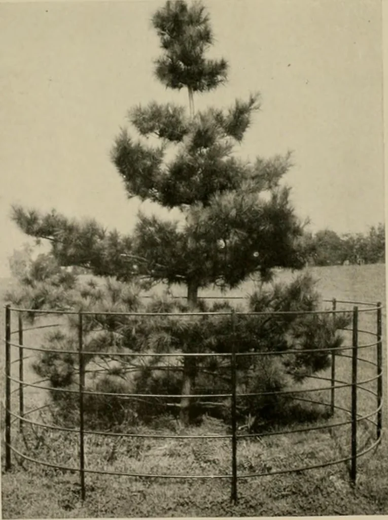 An illustration from Property protection and ornamentation :, 1920, leaf 37