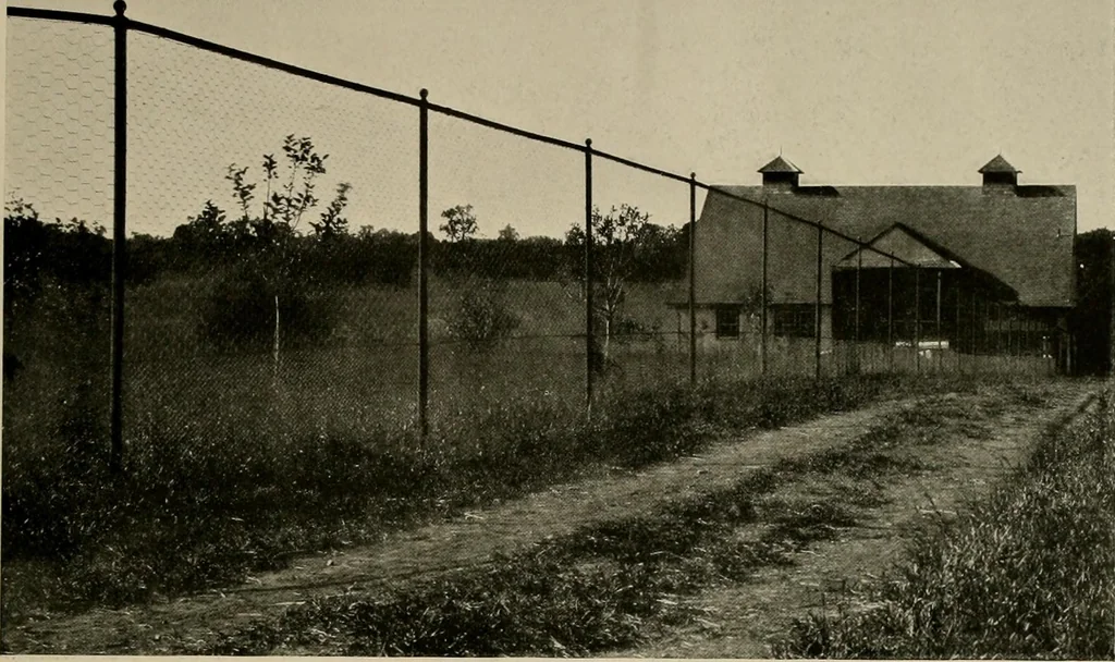An illustration from Property protection and ornamentation :, 1920, leaf 42