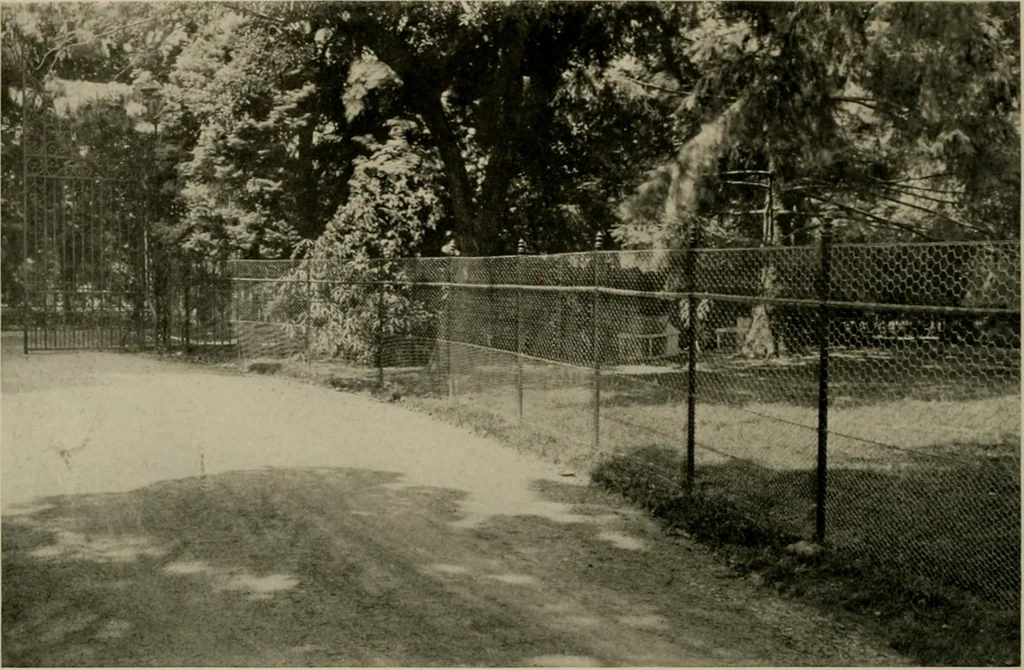 An illustration from Property protection and ornamentation :, 1920, leaf 43