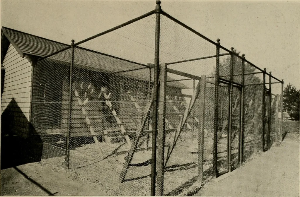 An illustration from Property protection and ornamentation :, 1920, leaf 44