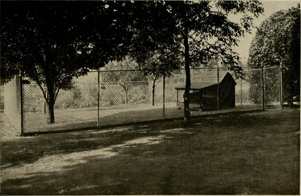 An illustration from Property protection and ornamentation :, 1920, leaf 44