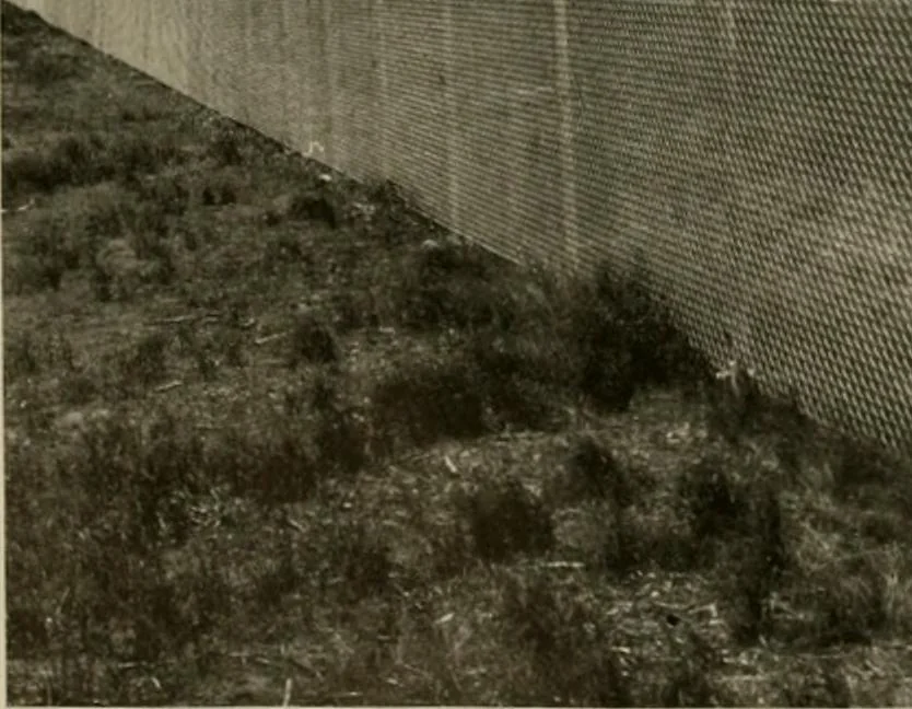 An illustration from Property protection and ornamentation :, 1920, leaf 49