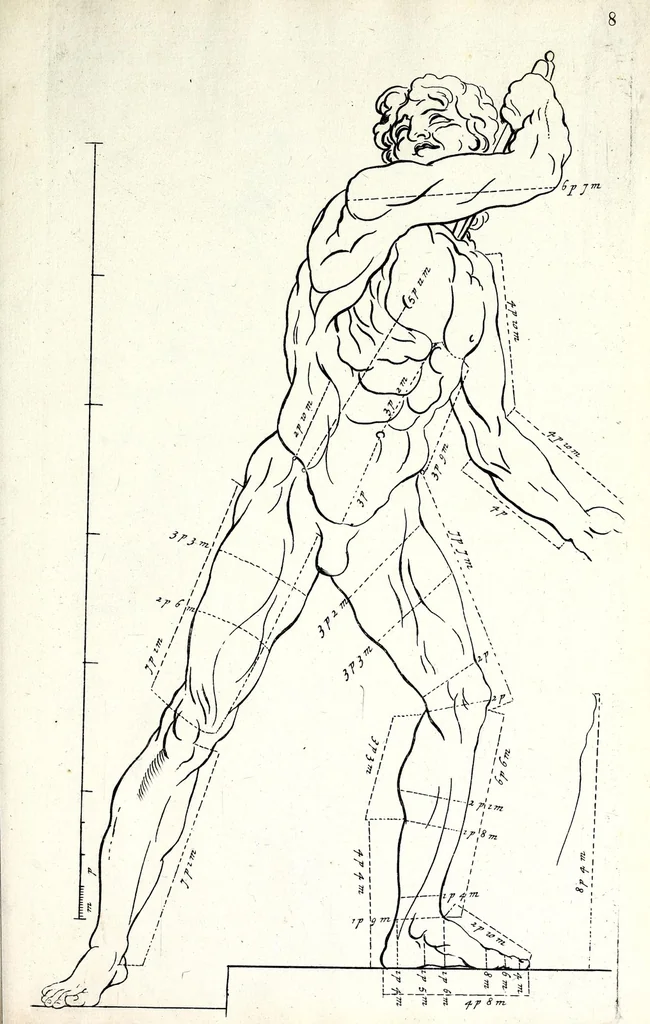 An illustration from Proportien der menschelyke lichamen, vertoont in zes en twintig afbeeldingen, zoo van mannen, vrouwen, als kinderen, &c. : alle met de maat van ieder deel daar by gestelt : na de voortreffelykste en allerschoonste antique beelden, leaf 17