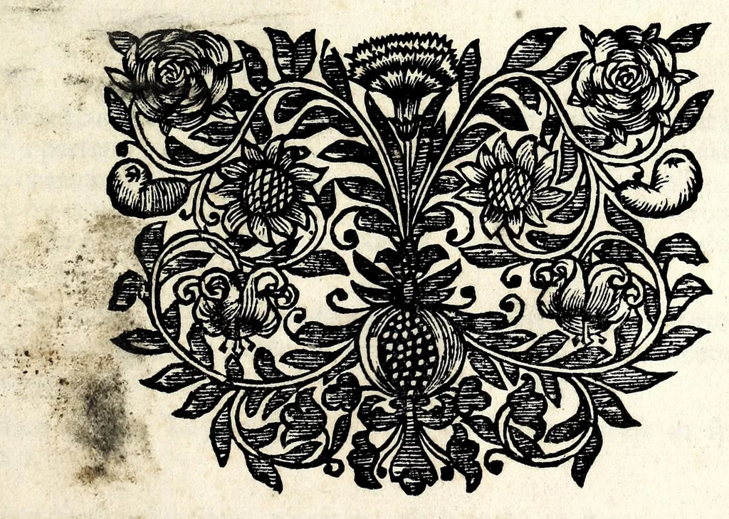 An illustration from Proportien der menschelyke lichamen, vertoont in zes en twintig afbeeldingen, zoo van mannen, vrouwen, als kinderen, &c. : alle met de maat van ieder deel daar by gestelt : na de voortreffelykste en allerschoonste antique beelden, leaf 3