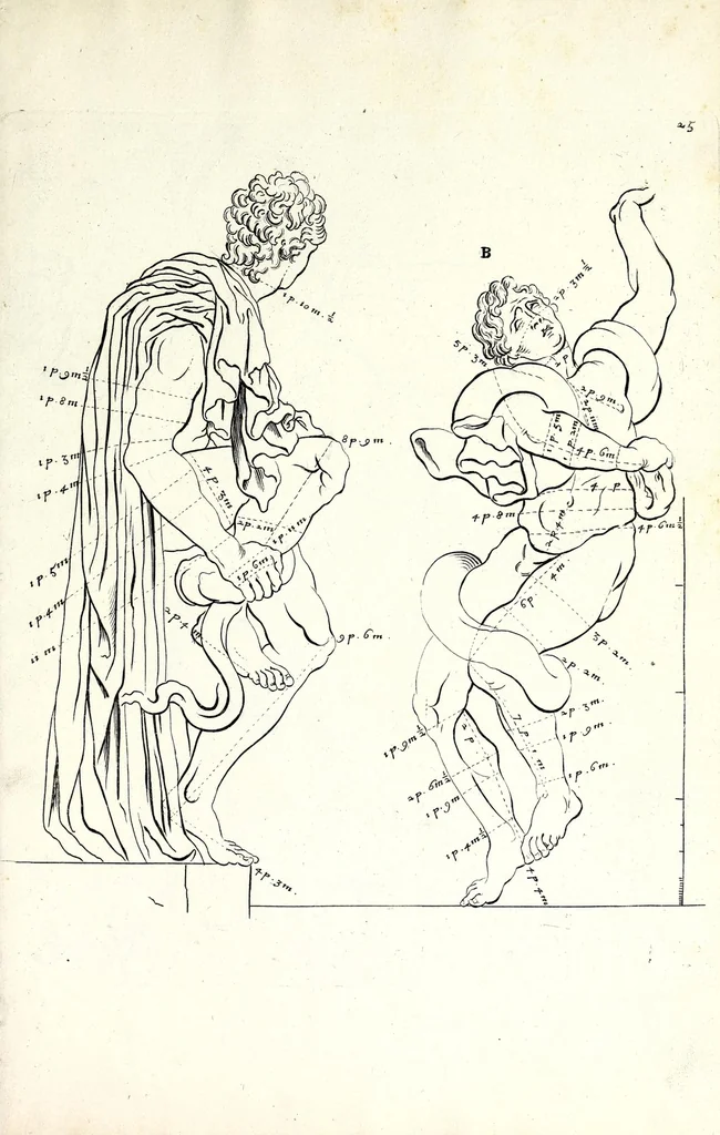 An illustration from Proportien der menschelyke lichamen, vertoont in zes en twintig afbeeldingen, zoo van mannen, vrouwen, als kinderen, &c. : alle met de maat van ieder deel daar by gestelt : na de voortreffelykste en allerschoonste antique beelden, leaf 53