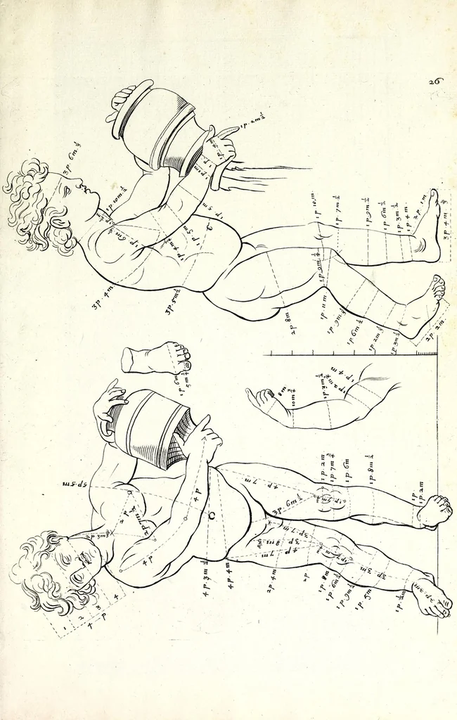 An illustration from Proportien der menschelyke lichamen, vertoont in zes en twintig afbeeldingen, zoo van mannen, vrouwen, als kinderen, &c. : alle met de maat van ieder deel daar by gestelt : na de voortreffelykste en allerschoonste antique beelden, leaf 55