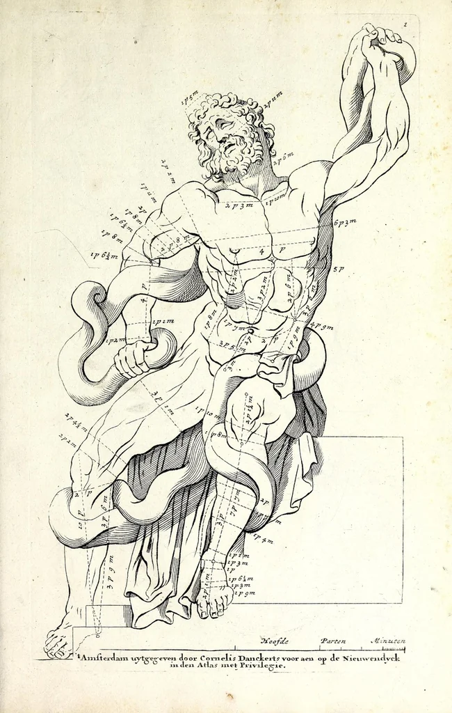 An illustration from Proportien der menschelyke lichamen, vertoont in zes en twintig afbeeldingen, zoo van mannen, vrouwen, als kinderen, &c. : alle met de maat van ieder deel daar by gestelt : na de voortreffelykste en allerschoonste antique beelden, leaf 7