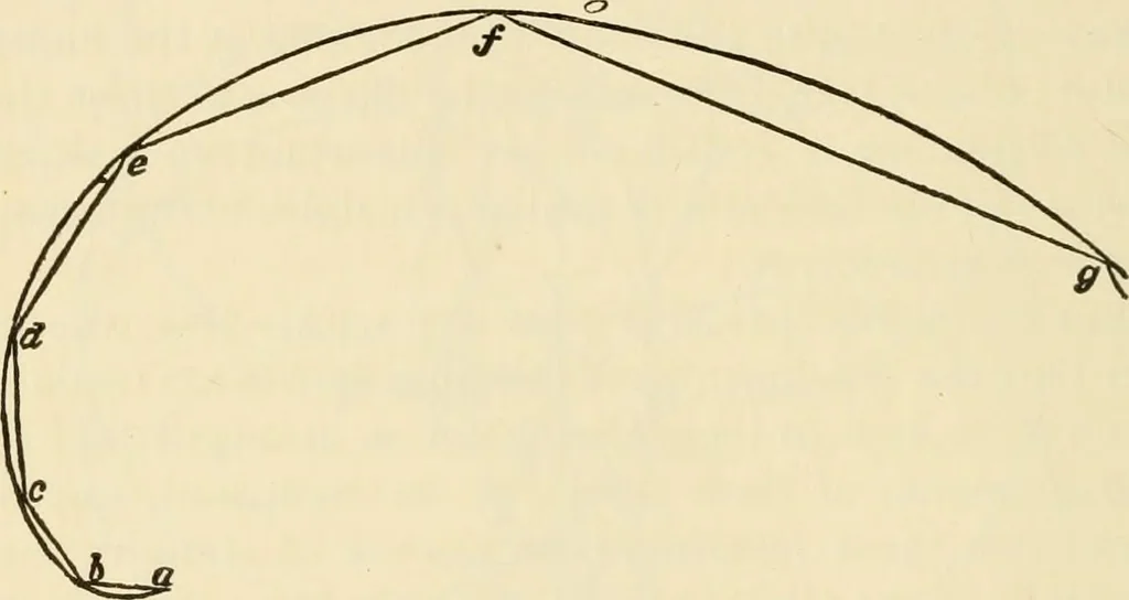 An illustration from Proportion and harmony of line and color in painting, sculpture, and architecture; an essay in comparative aesthetics, 1909, leaf 101