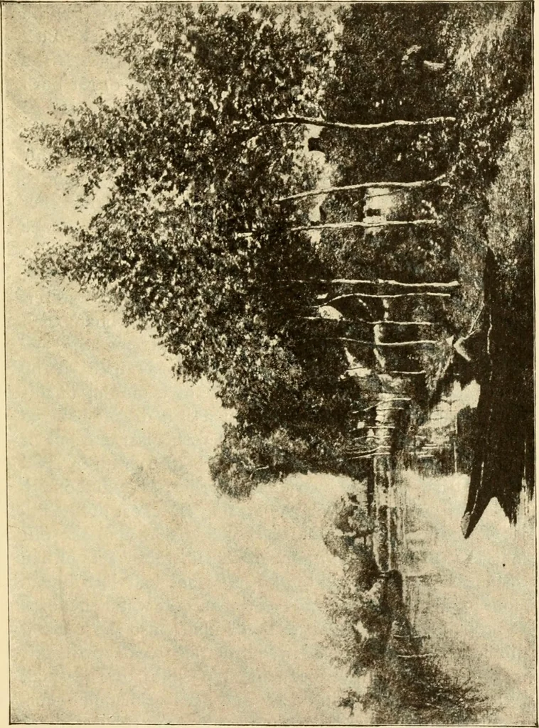 An illustration from Proportion and harmony of line and color in painting, sculpture, and architecture; an essay in comparative aesthetics, 1909, leaf 116