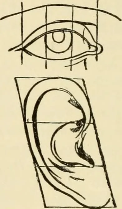 An illustration from Proportion and harmony of line and color in painting, sculpture, and architecture; an essay in comparative aesthetics, 1909, leaf 127