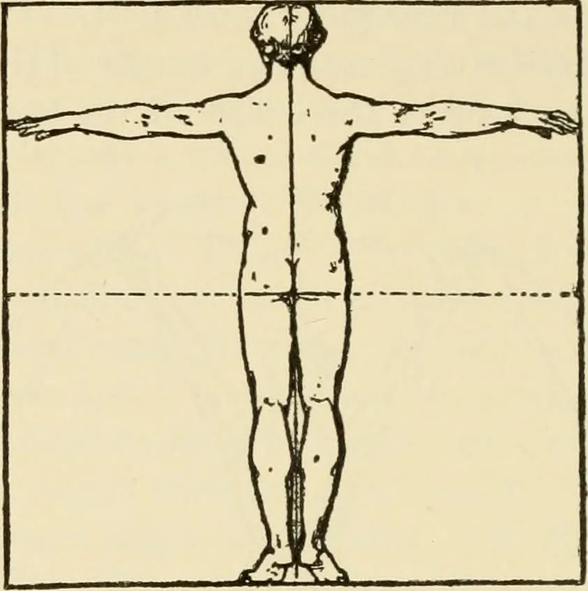 An illustration from Proportion and harmony of line and color in painting, sculpture, and architecture; an essay in comparative aesthetics, 1909, leaf 163