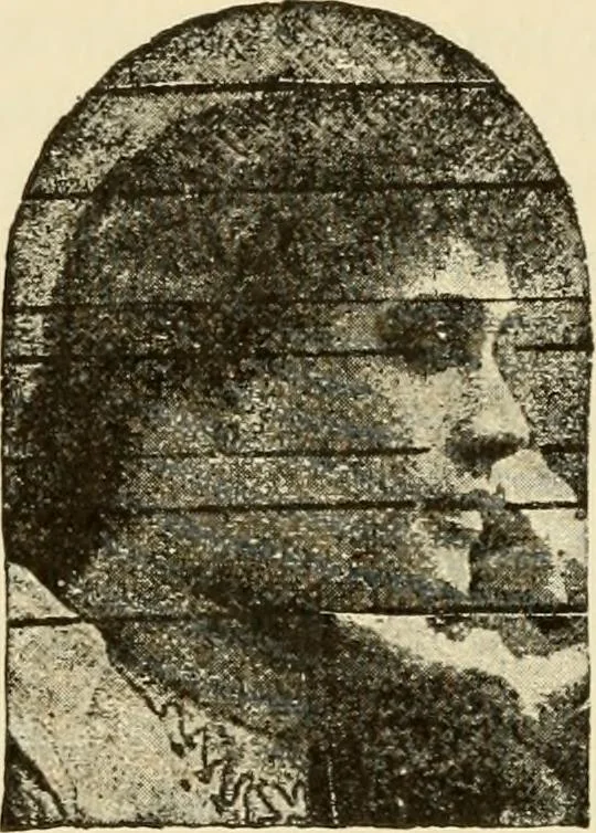 An illustration from Proportion and harmony of line and color in painting, sculpture, and architecture; an essay in comparative aesthetics, 1909, leaf 167