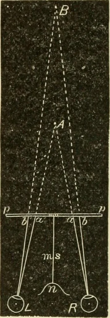 An illustration from Proportion and harmony of line and color in painting, sculpture, and architecture; an essay in comparative aesthetics, 1909, leaf 313