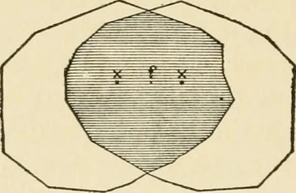An illustration from Proportion and harmony of line and color in painting, sculpture, and architecture; an essay in comparative aesthetics, 1909, leaf 319
