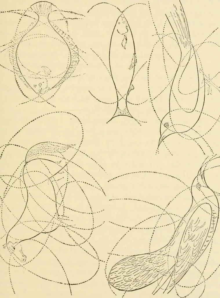 An illustration from Proportion and harmony of line and color in painting, sculpture, and architecture; an essay in comparative aesthetics, 1909, leaf 330