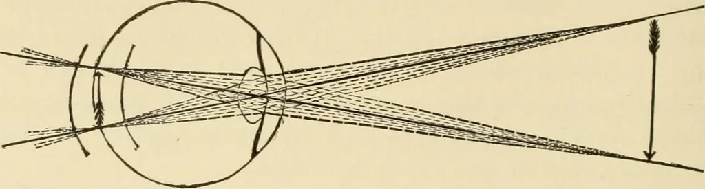 An illustration from Proportion and harmony of line and color in painting, sculpture, and architecture; an essay in comparative aesthetics, 1909, leaf 63