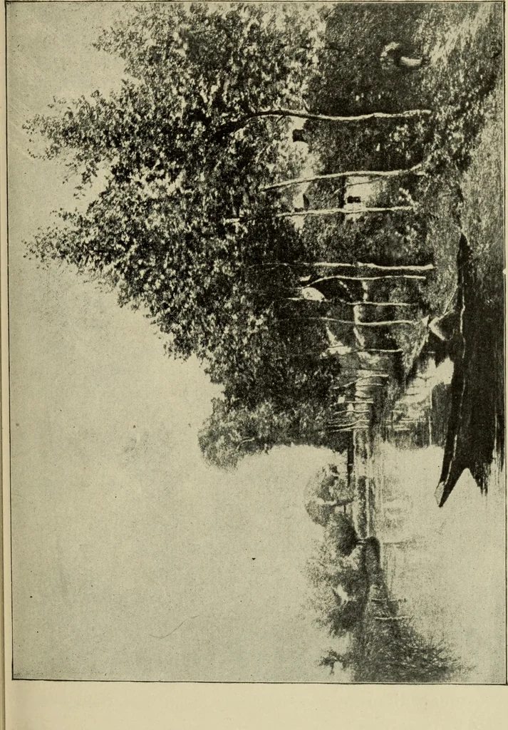 An illustration from Proportion and harmony of line and color in painting, sculpture, and architecture : an essay in comparative æsthetics, 1899, leaf 112