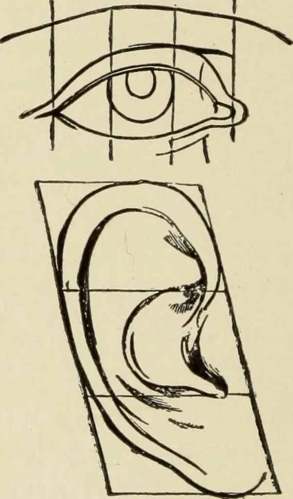 An illustration from Proportion and harmony of line and color in painting, sculpture, and architecture : an essay in comparative æsthetics, 1899, leaf 123