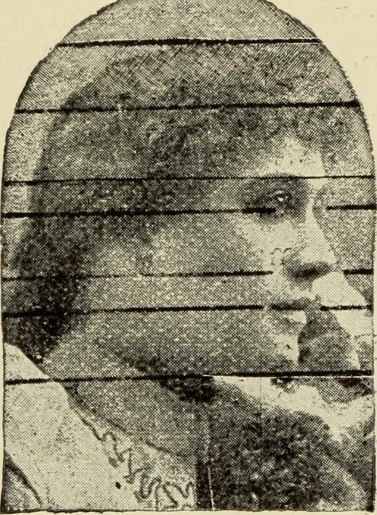 An illustration from Proportion and harmony of line and color in painting, sculpture, and architecture : an essay in comparative æsthetics, 1899, leaf 163