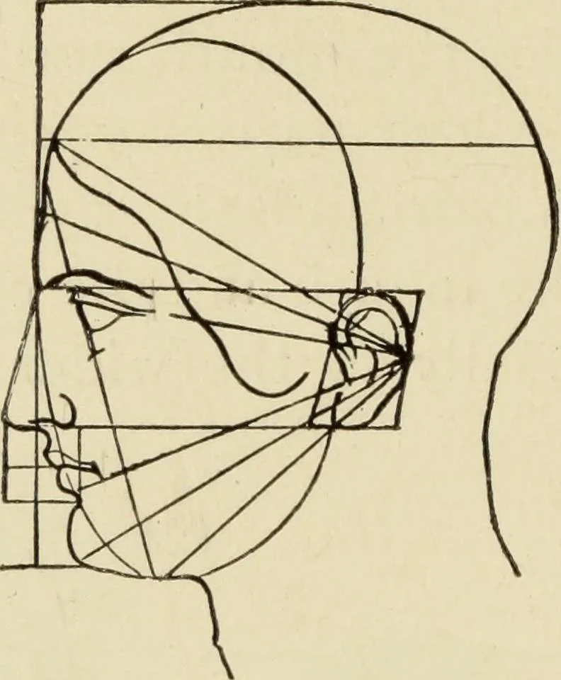 An illustration from Proportion and harmony of line and color in painting, sculpture, and architecture : an essay in comparative æsthetics, 1899, leaf 165
