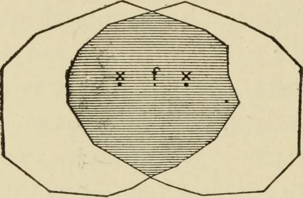 An illustration from Proportion and harmony of line and color in painting, sculpture, and architecture : an essay in comparative æsthetics, 1899, leaf 315