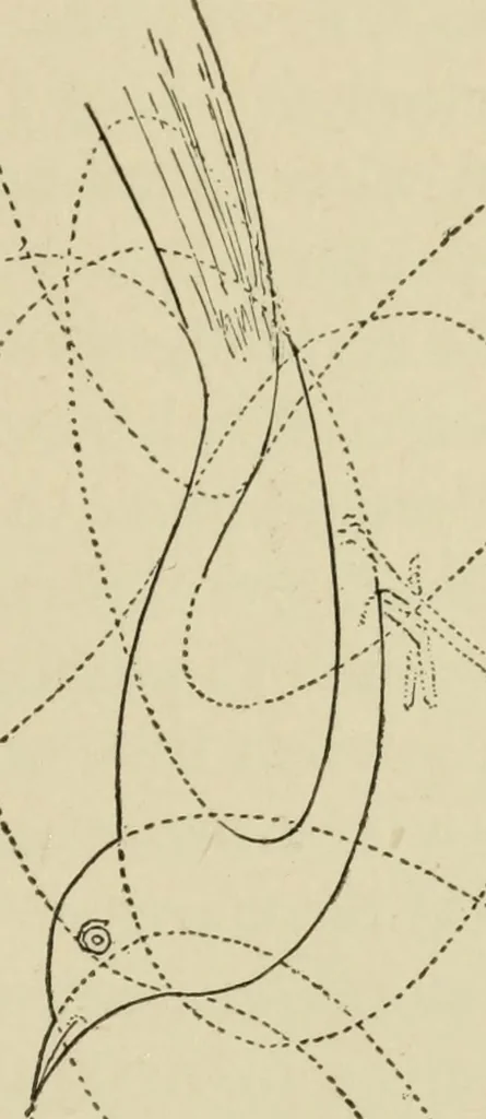 An illustration from Proportion and harmony of line and color in painting, sculpture, and architecture : an essay in comparative æsthetics, 1899, leaf 326