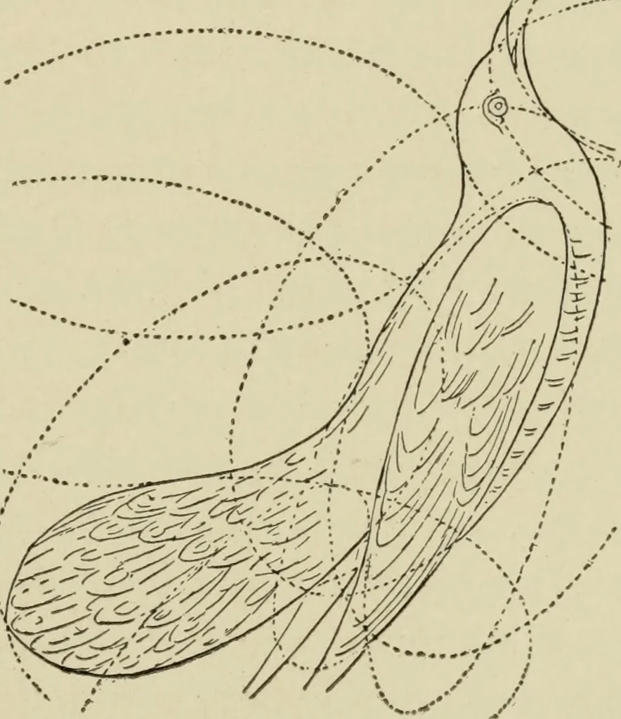 An illustration from Proportion and harmony of line and color in painting, sculpture, and architecture : an essay in comparative æsthetics, 1899, leaf 326