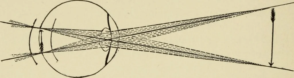 An illustration from Proportion and harmony of line and color in painting, sculpture, and architecture : an essay in comparative æsthetics, 1899, leaf 59