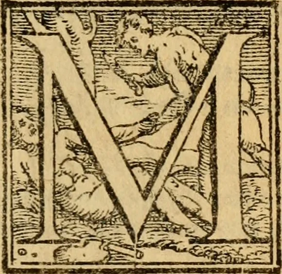 An illustration from Propositioni, overo Considerationi in materia di cose di stato, sotto titolo di Auuertimenti, Auuedimenti ciuili, & Concetti politici, 1583, leaf 20