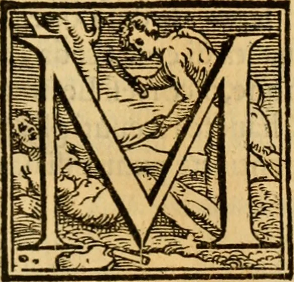 An illustration from Propositioni, overo Considerationi in materia di cose di stato, sotto titolo di Auuertimenti, Auuedimenti ciuili, & Concetti politici, 1583, leaf 218