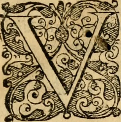 An illustration from Propositioni, overo Considerationi in materia di cose di stato, sotto titolo di Auuertimenti, Auuedimenti ciuili, & Concetti politici, 1583, leaf 22