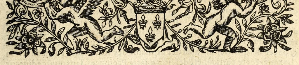 An illustration from Propositions et offres faictes au roy ..., 1627, leaf 9