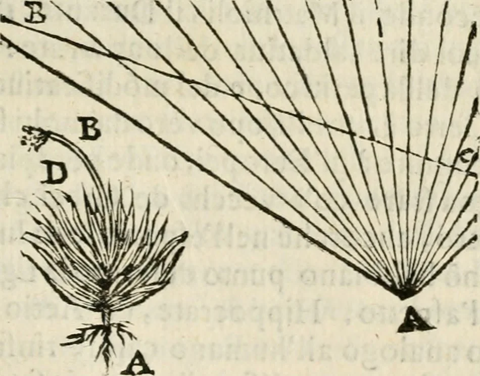 An illustration from Prose de' signori accademici Gelati di Bologna ... : colle loro imprese anteposte a' discorsi, 1671, leaf 220