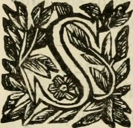 An illustration from Prose de' signori accademici Gelati di Bologna ... : colle loro imprese anteposte a' discorsi, 1671, leaf 346