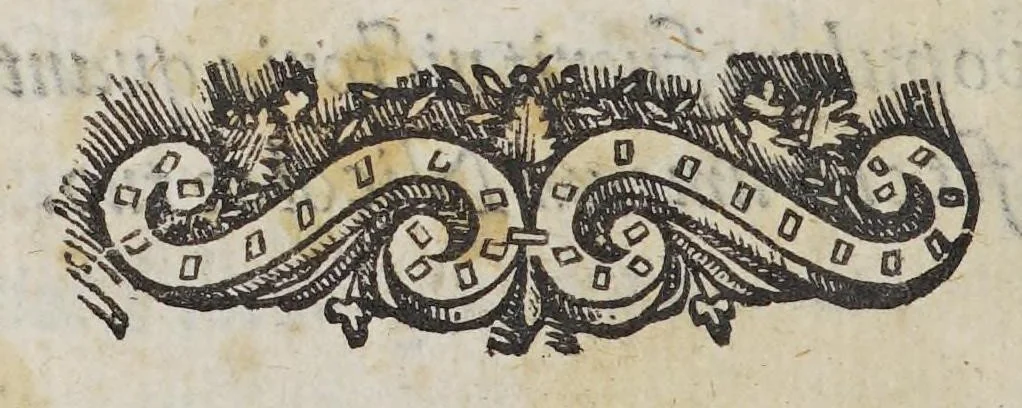 An illustration from Prosopopeia ampitheatri Veronensis. : Ad Nicolaum Barbadicum praetorem., 1575, leaf 18