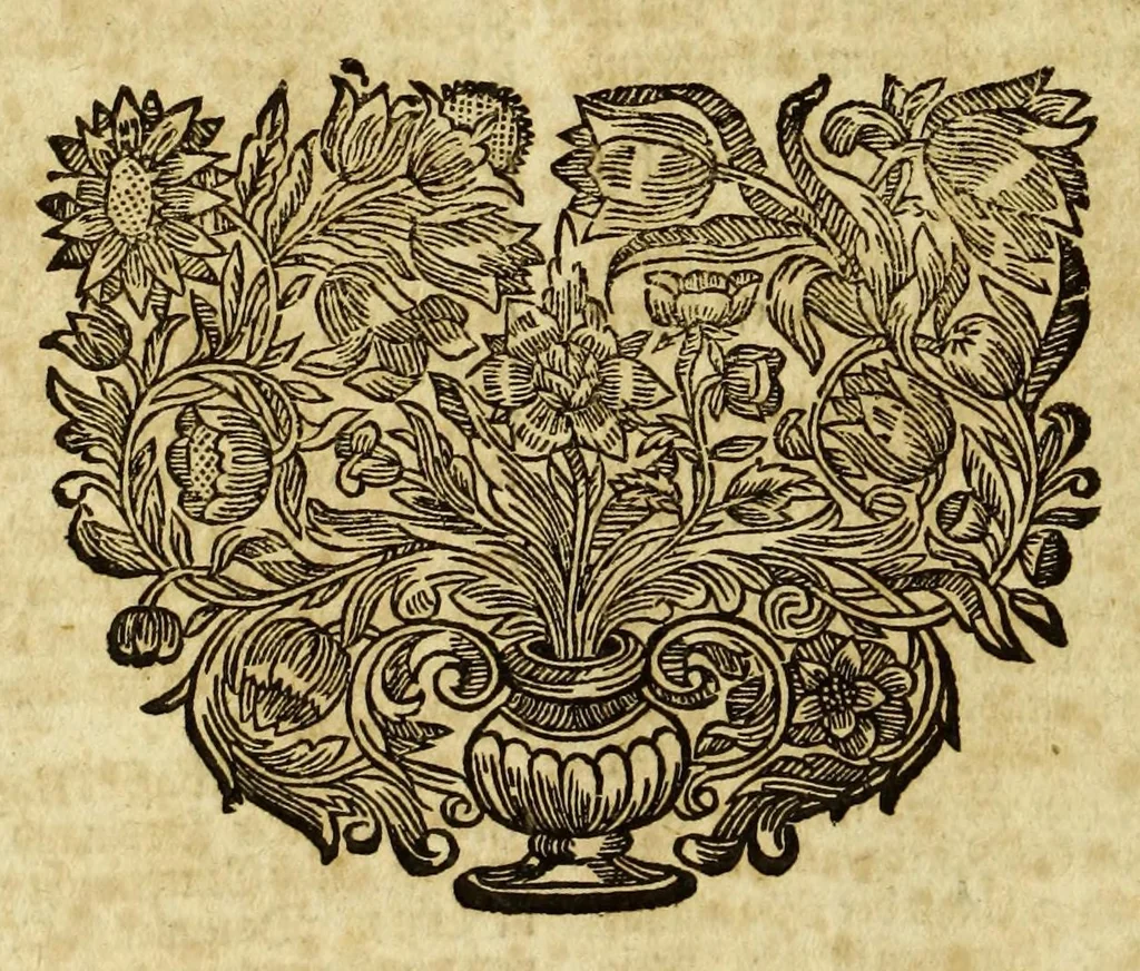 An illustration from Prospect des ganzen Erdkreisses, in fünff absonderlichen Carten, namentlich Europa, Asia, Africa und dem Mitternächtig- und Mittägigen America, : samt einer ausführlichen Beschreibung derselben Länder, Provinzien, Königreiche, Herrschafften, Fürstenthümer, und Inseln, wie auch Städte, Festungen und Schlösser bestehend, vor Augen gestellet und zum Druck übergeben, 1686, leaf 62