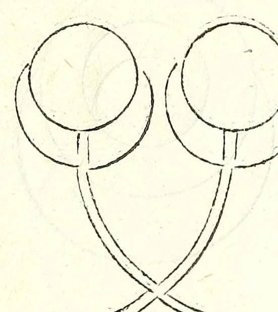 An illustration from Prospectiua coĩs, leaf 21