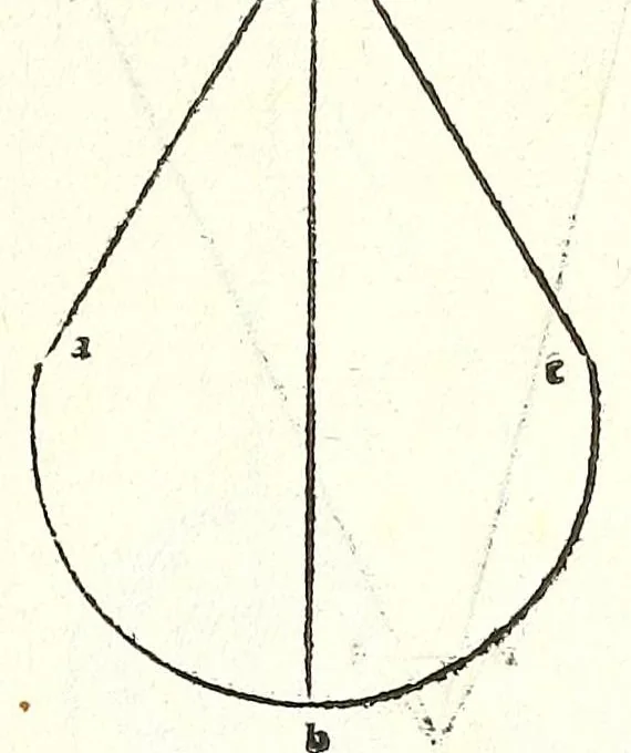 An illustration from Prospectiua coĩs, leaf 31