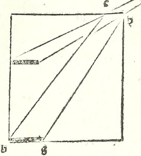An illustration from Prospectiua coĩs, leaf 57