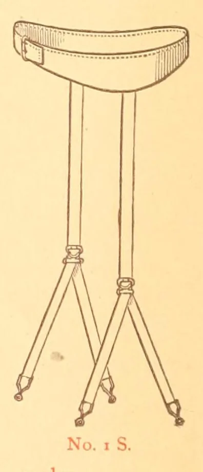 An illustration from Prospectus of the Canfield competitive art-needle-work exhibit. 2d annual display. 1887, 1887, leaf 36