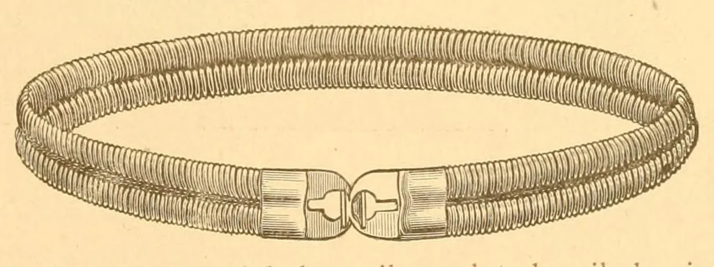 An illustration from Prospectus of the Canfield competitive art-needle-work exhibit. 2d annual display. 1887, 1887, leaf 41