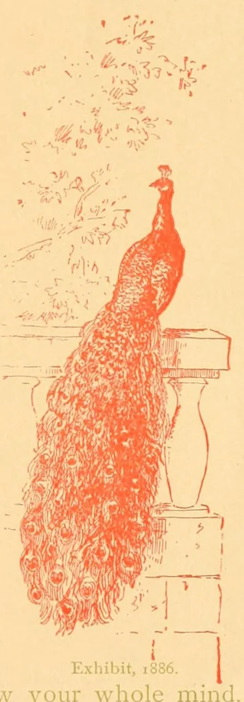An illustration from Prospectus of the Canfield competitive art-needle-work exhibit. 2d annual display. 1887, 1887, leaf 9