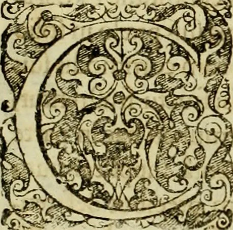 An illustration from Prosperi Fagnani Jus canonicum, sive, Commentaria absolutissima in V. libros decretales : cum indice copiosissimo rerum ac verborum alphabetica serie digesto, & iuxta materiarum varietatem distincto : tomus primus[-quintus] complectens primam[-secundam] partem primi libri Decretalium, 1676, leaf 11
