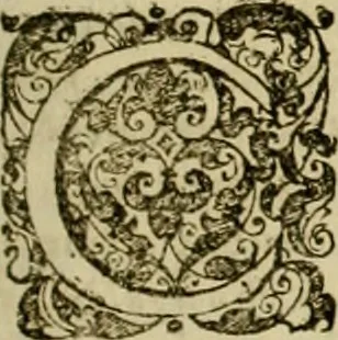 An illustration from Prosperi Fagnani Jus canonicum, sive, Commentaria absolutissima in V. libros decretales : cum indice copiosissimo rerum ac verborum alphabetica serie digesto, & iuxta materiarum varietatem distincto : tomus primus[-quintus] complectens primam[-secundam] partem primi libri Decretalium, 1676, leaf 276