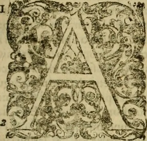 An illustration from Prosperi Fagnani Jus canonicum, sive, Commentaria absolutissima in V. libros decretales : cum indice copiosissimo rerum ac verborum alphabetica serie digesto, & iuxta materiarum varietatem distincto : tomus primus[-quintus] complectens primam[-secundam] partem primi libri Decretalium, 1676, leaf 252