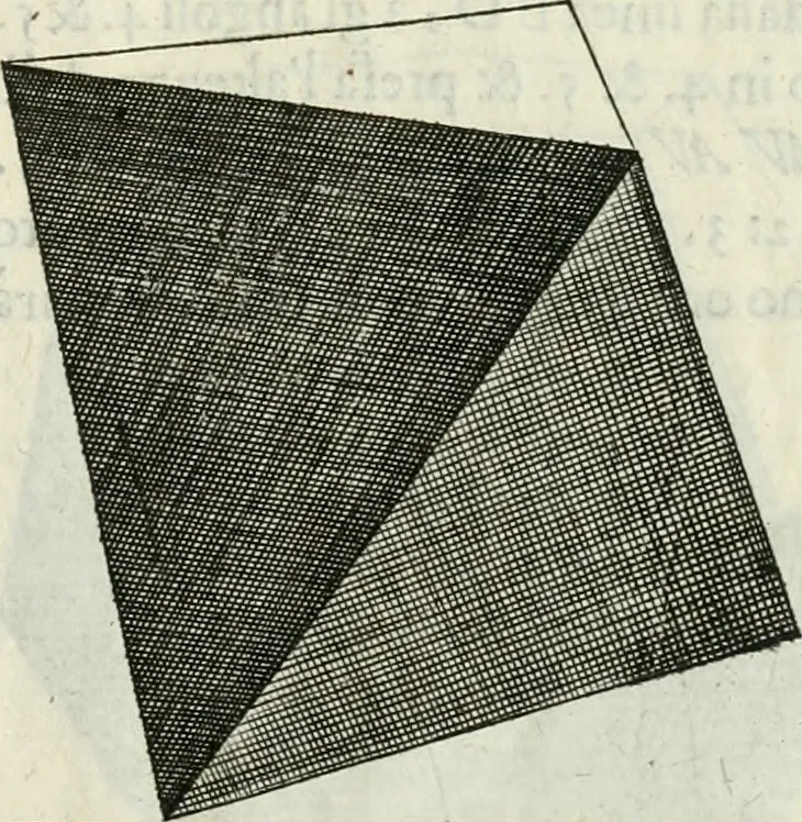 An illustration from La prospettiua pratica, 1684, leaf 28