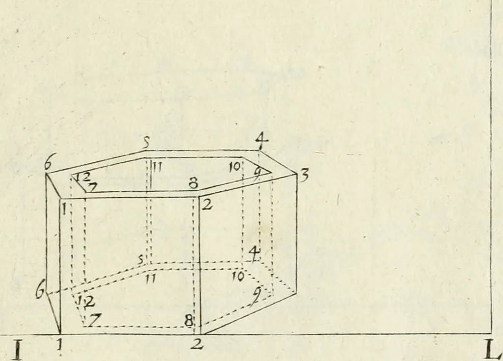 An illustration from La prospettiua pratica, 1684, leaf 36